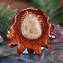 Load image into Gallery viewer, Petoskey Stone