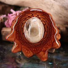 Load image into Gallery viewer, Petoskey Stone