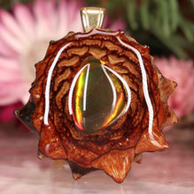 Load image into Gallery viewer, Mini Ammolite
