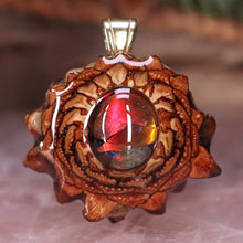 Load image into Gallery viewer, Mini Ammolite
