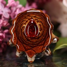 Load image into Gallery viewer, Amber
